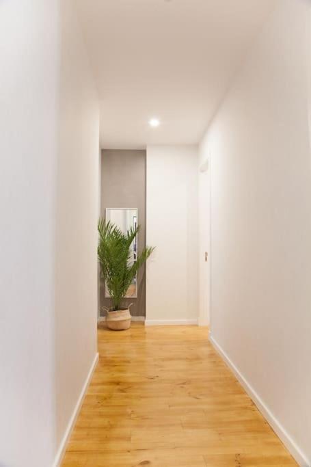 Cozy B&B In The Center Of Madrid Bagian luar foto
